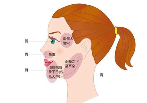 生痘痘位置|不同部位长痘痘，代表不同内脏有问题？